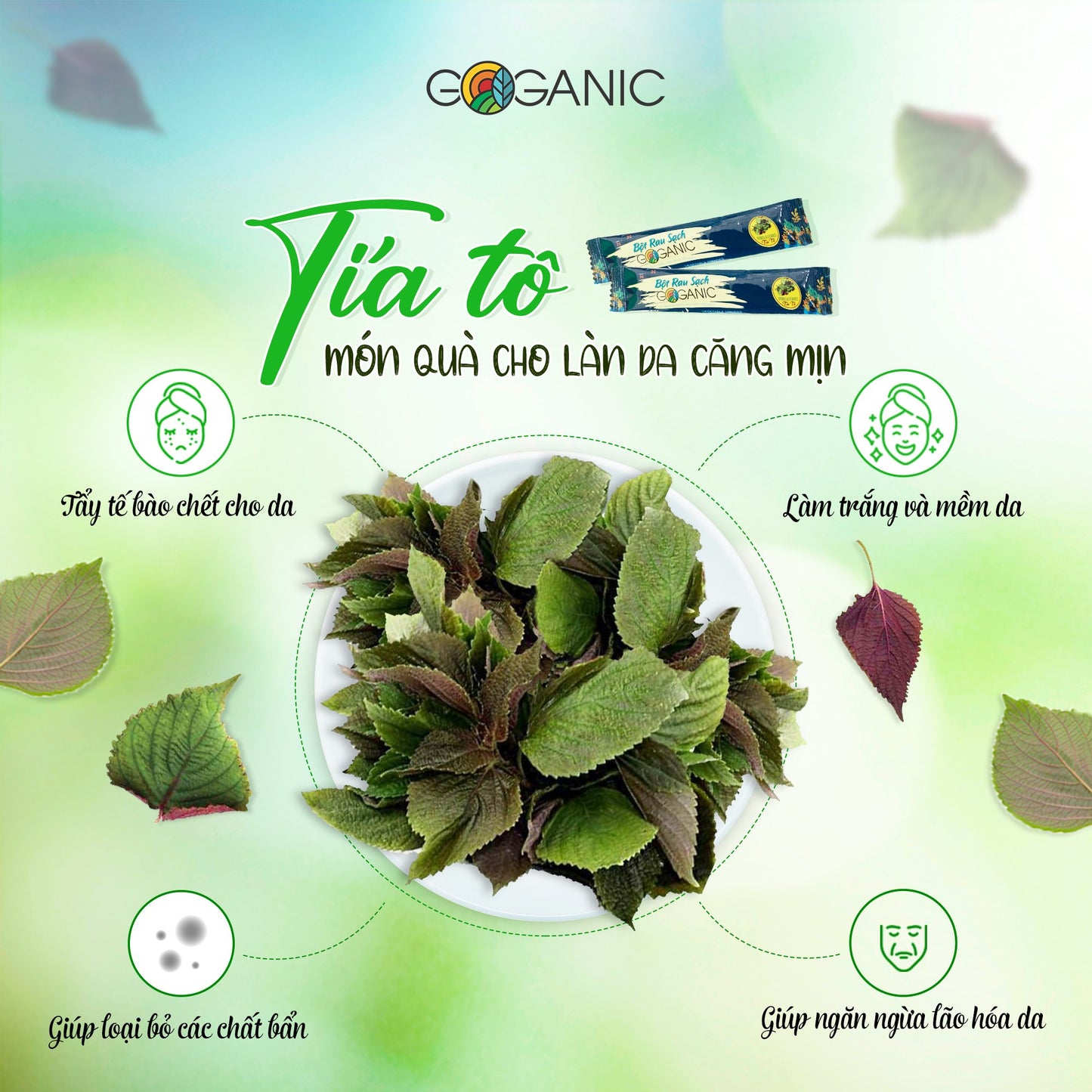 Copy of Veggie powder Goganic - Bột rau sạch Goganic