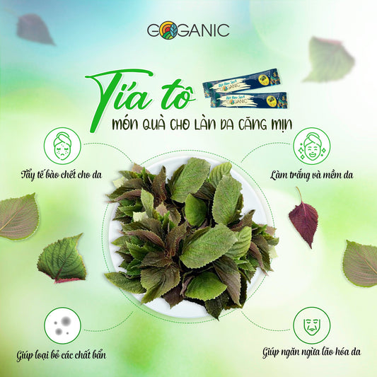 Bột rau tía tô ( perrila leaves veggie powder) 28 pieces/box